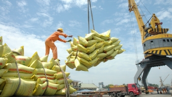 Xuất khẩu gạo vẫn “rộng cửa” trong 6 tháng cuối năm