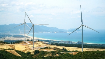 Xem xét phản ánh về dự án điện gió Nhơn Hội “đắp chiếu” nhiều tháng