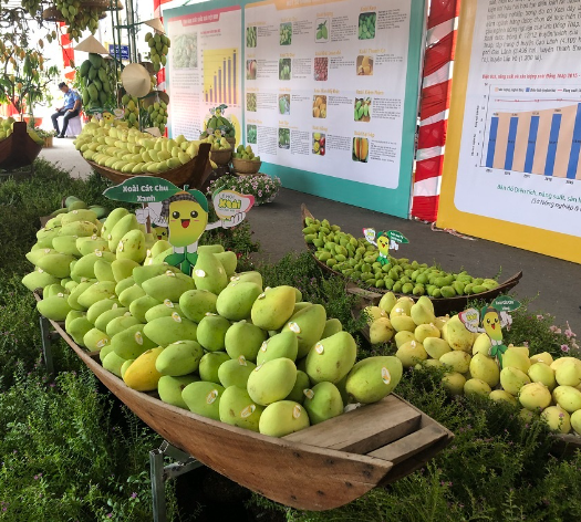 Mãn nhãn trái cây tạo hình ở "vương quốc" xoài Cao Lãnh