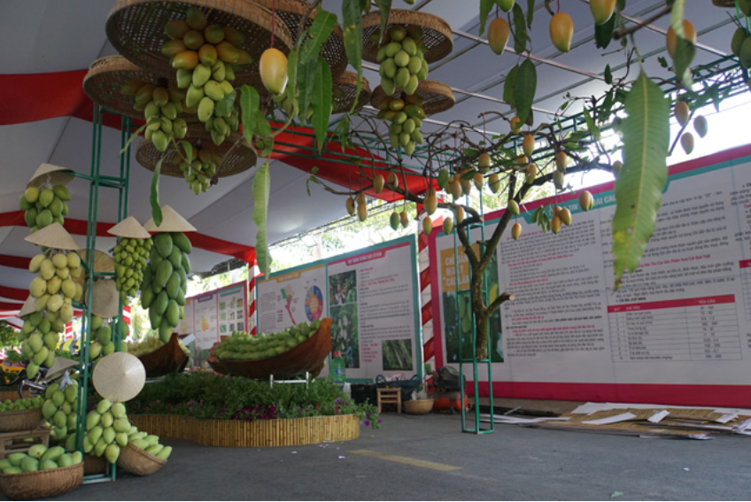 Không gian trưng bày, giới thiệu quảng bá thương hiệu “Xoài Cao lãnh”