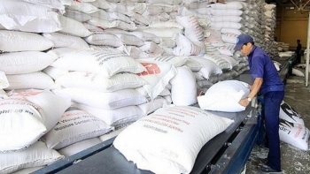 Xuất cấp hơn 432 tấn gạo hỗ trợ tỉnh Bình Phước