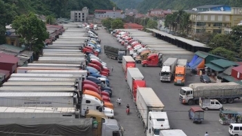 Tổng kim ngạch xuất nhập khẩu qua Lạng Sơn giảm 38,8%