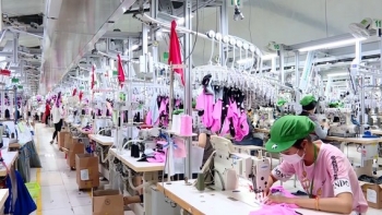 Ninh Bình: Tổng kim ngạch xuất nhập khẩu đạt hơn 3.389 triệu USD