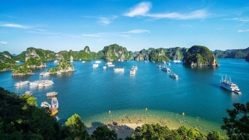 Hạ Long: Đảo Ti Tốp hút khách du lịch bởi vẻ đẹp hoang sơ