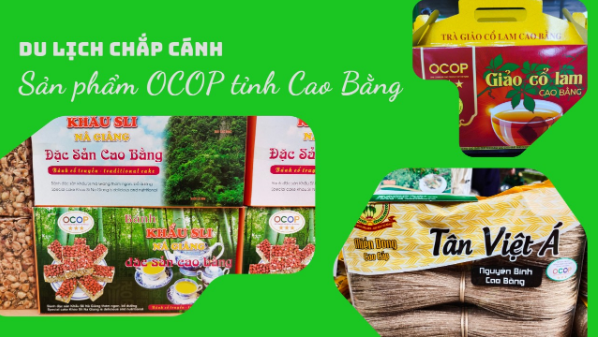 Các sản phẩm OCOP được trưng bày, giới thiệu và bán tại nhiều điểm du lịch, cửa hàng trên địa bàn tỉnh. Các sản phẩm OCOP được trưng bày, giới thiệu và bán tại nhiều điểm du lịch, cửa hàng trên địa bàn tỉnh.
