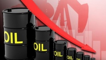 Giá xăng dầu hôm nay 12/7/2022: Giảm mạnh