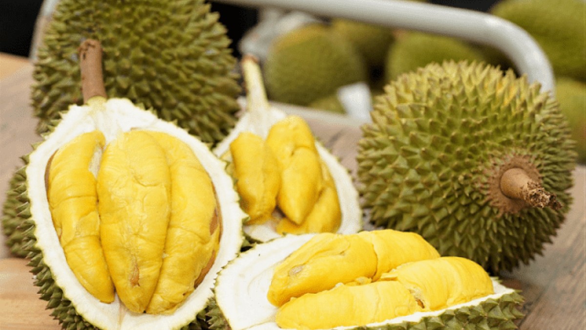 Xuất khẩu sầu riêng chính ngạch sang Trung Quốc