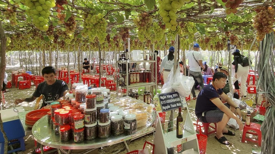 Ninh Thuận: Đón gần 1.500.000 lượt khách du lịch trong 6 tháng đầu năm 2022