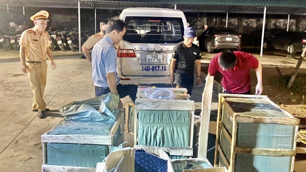 Quảng Ninh: Phát hiện hơn 100 lít rượu ngoại nhập lậu