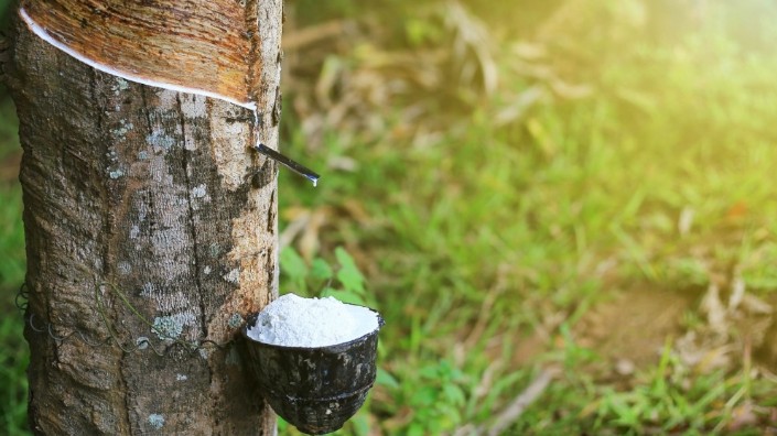 Giá cao su hôm nay 12/7/2022: Tăng mạnh toàn thị trường châu Á