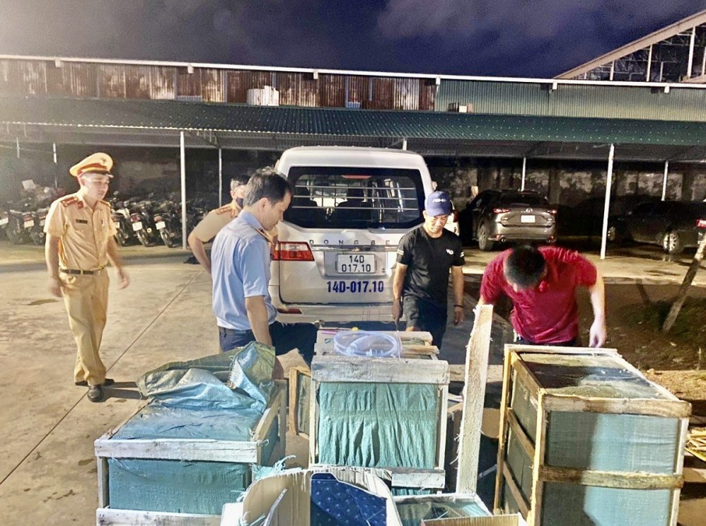 Quảng Ninh: Phát hiện hơn 100 lít rượu ngoại nhập lậu