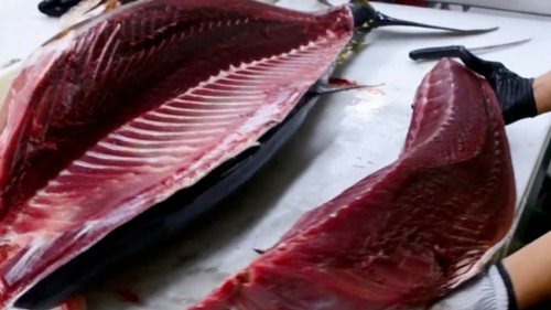 Việt Nam đứng vị trí thứ 2 cung cấp cá ngừ cho Ai Cập