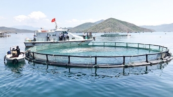 Khánh Hòa: Hướng dẫn khu vực biển nuôi trồng thủy sản