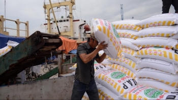 Phân bón nhập từ Trung Quốc chiếm gần 41% kim ngạch