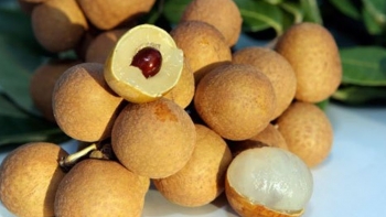 Bộ Công Thương hỗ trợ Hưng Yên tổ chức hội nghị xúc tiến tiêu thụ nhãn và nông sản