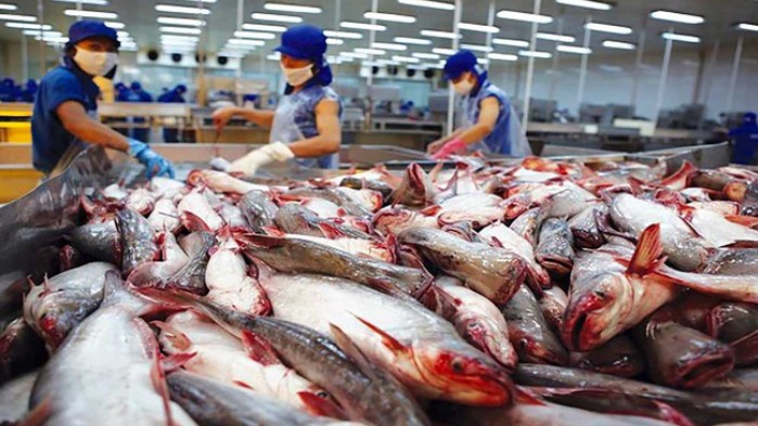Gỡ “nút thắt” cho nhập khẩu nguyên liệu chế biến thủy sản