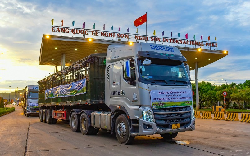 Hàng chục chuyến xe tải cùng các nhân viên trang trại làm việc xuyên đêm đến sáng để vận chuyển các cô bò về đến trang trại một cách an toàn và nhanh chóng nhất Hàng chục chuyến xe tải cùng các nhân viên trang trại làm việc xuyên đêm đến sáng để vận chuyển các cô bò về đến trang trại một cách an toàn và nhanh chóng nhất