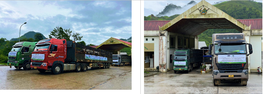 Một nhóm các chuyên gia Vinamilk & Lao-Jagro cũng đã đợi sẵn tại cửa khẩu Nậm Cắn, kiểm tra sức khỏe cho đàn bò, chuẩn bị cho hành trình tiếp theo trên đất Lào. Một nhóm các chuyên gia Vinamilk & Lao-Jagro cũng đã đợi sẵn tại cửa khẩu Nậm Cắn, kiểm tra sức khỏe cho đàn bò, chuẩn bị cho hành trình tiếp theo trên đất Lào.