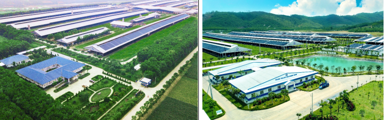 Hệ thống trang trại Green Farm của Vinamilk gồm 3 trang trại tại Thanh Hóa, Quảng Ngãi và Tây Ninh với đàn bò lên tới 20.000 con Hệ thống trang trại Green Farm của Vinamilk gồm 3 trang trại tại Thanh Hóa, Quảng Ngãi và Tây Ninh với đàn bò lên tới 20.000 con