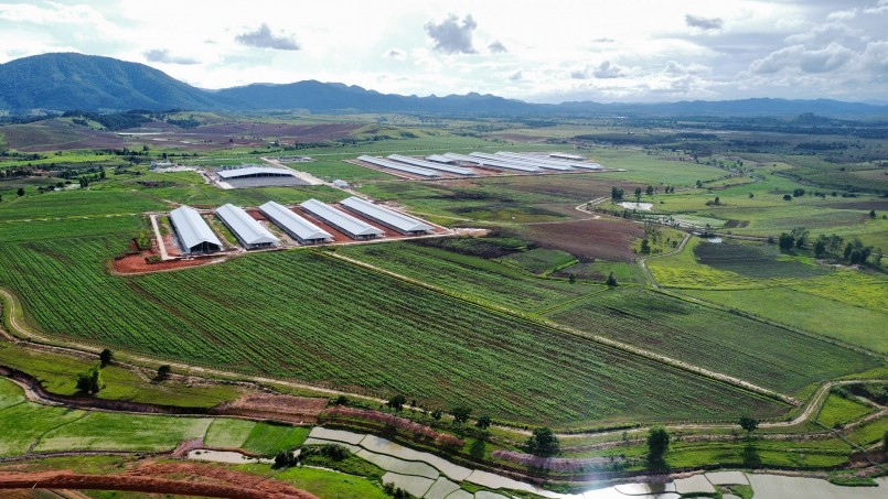 Khu vực chuồng trại đã được xây dựng hoàn tất, sẵn sàng đón các đàn bò sữa nhập khẩu đầu tiên về trang trại. Khu vực chuồng trại đã được xây dựng hoàn tất, sẵn sàng đón các đàn bò sữa nhập khẩu đầu tiên về trang trại.