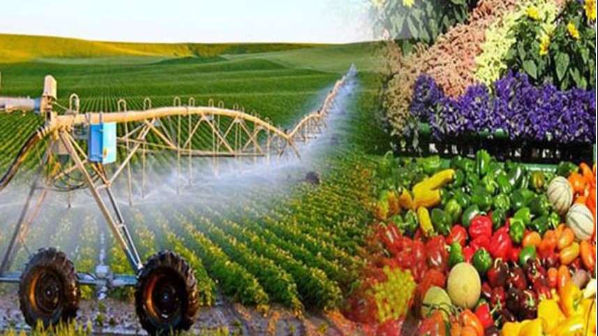 Phấn đấu đưa Việt Nam thành trung tâm chế biến nông sản Top 10 thế giới vào năm 2030