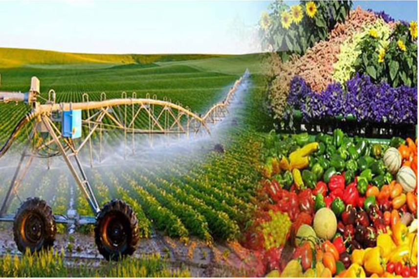 Phấn đấu đưa Việt Nam thành trung tâm chế biến nông sản Top 10 thế giới vào năm 2030