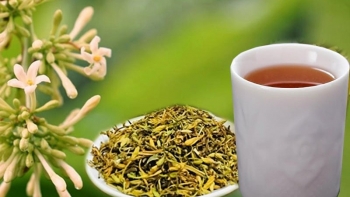 Bài thuốc dân gian kỳ diệu từ hoa đu đủ đực