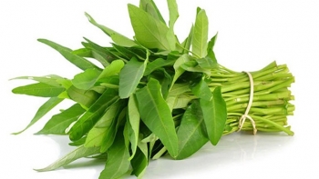 Sống khỏe: Công dụng tuyệt vời từ cây rau muống