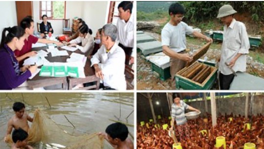 Hỗ trợ người nghèo phát triển sản xuất nông nghiệp