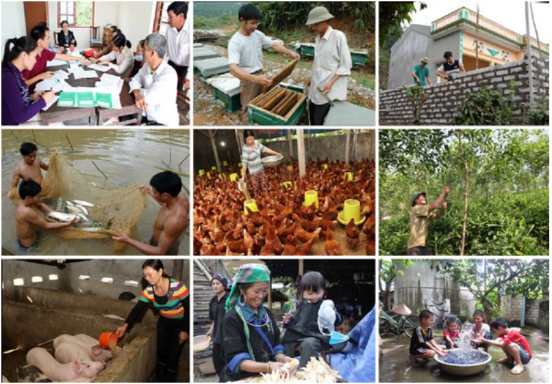 Bộ Nông nghiệp và Phát triển nông thôn hướng dẫn thực hiện hỗ trợ phát triển sản xuất trong lĩnh vực nông nghiệp Bộ Nông nghiệp và Phát triển nông thôn hướng dẫn thực hiện hỗ trợ phát triển sản xuất trong lĩnh vực nông nghiệp