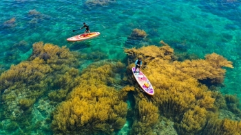 Đa dạng trải nghiệm mới lạ, du lịch Quy Nhơn tăng sức nóng