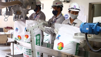Xuất khẩu phân bón tăng 181% kim ngạch