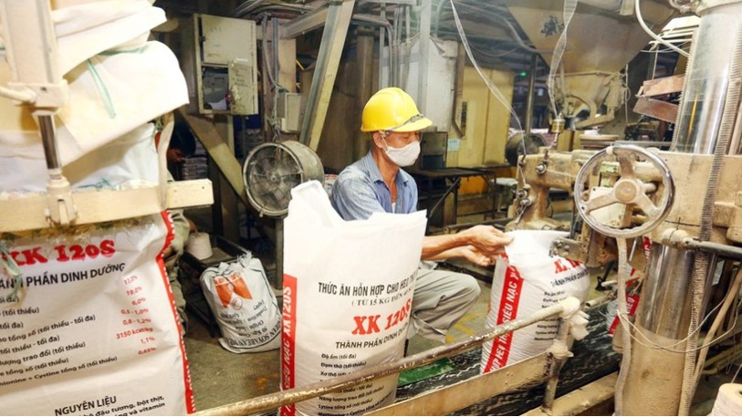 Xuất khẩu thức ăn gia súc 6 tháng tăng 13,7%