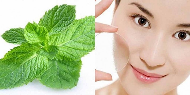 Bạc hà giúp hỗ trợ điều trị mụn trứng cá và mụn nhọt...