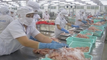 Trung Quốc kiểm tra trực tuyến với thực phẩm lạnh nghi nhiễm SARS-CoV-2