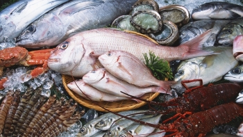 Việt Nam chi 1,24 tỷ USD nhập khẩu thủy sản