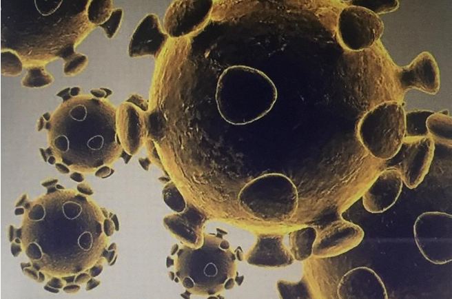 Hình ảnh do Cơ quan dược phẩm và thực phẩm Mỹ cung cấp về virus SARS-CoV-2 gây dịch viêm đường hô hấp cấp COVID-19. Hình ảnh do Cơ quan dược phẩm và thực phẩm Mỹ cung cấp về virus SARS-CoV-2 gây dịch viêm đường hô hấp cấp COVID-19.