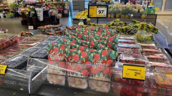 Quả vải Việt bước đầu thâm nhập thành công hệ thống siêu thị lớn tại Hoa Kỳ