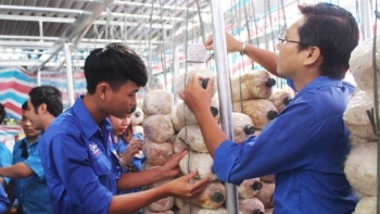 Hỗ trợ thanh niên khởi nghiệp tiếp cận các nguồn vốn