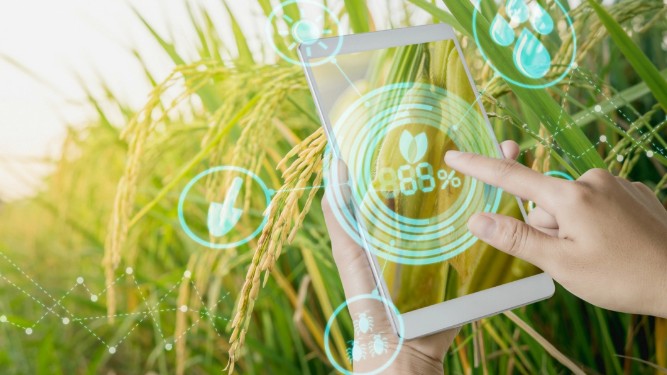 Phát triển, hoàn thiện hệ thống cơ sở hạ tầng số, chuyển đổi số trong nông nghiệp