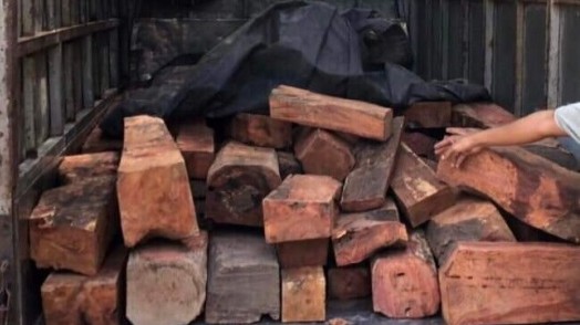 Quảng Trị: Bắt giữ 1,5 tấn gỗ hương không rõ nguồn gốc