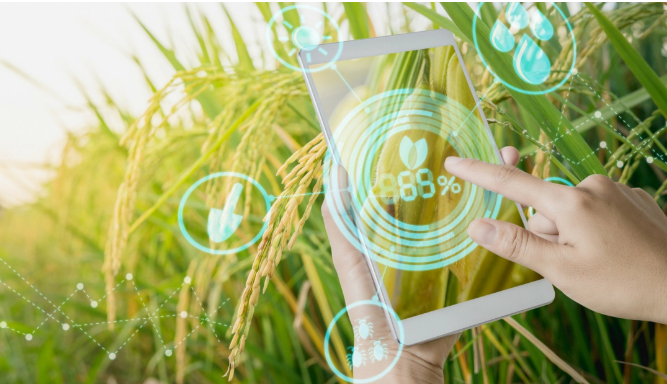 Phát triển các nền tảng số để phục vụ người dân khu vực nông thôn và thúc đẩy phát triển kinh tế - xã hội