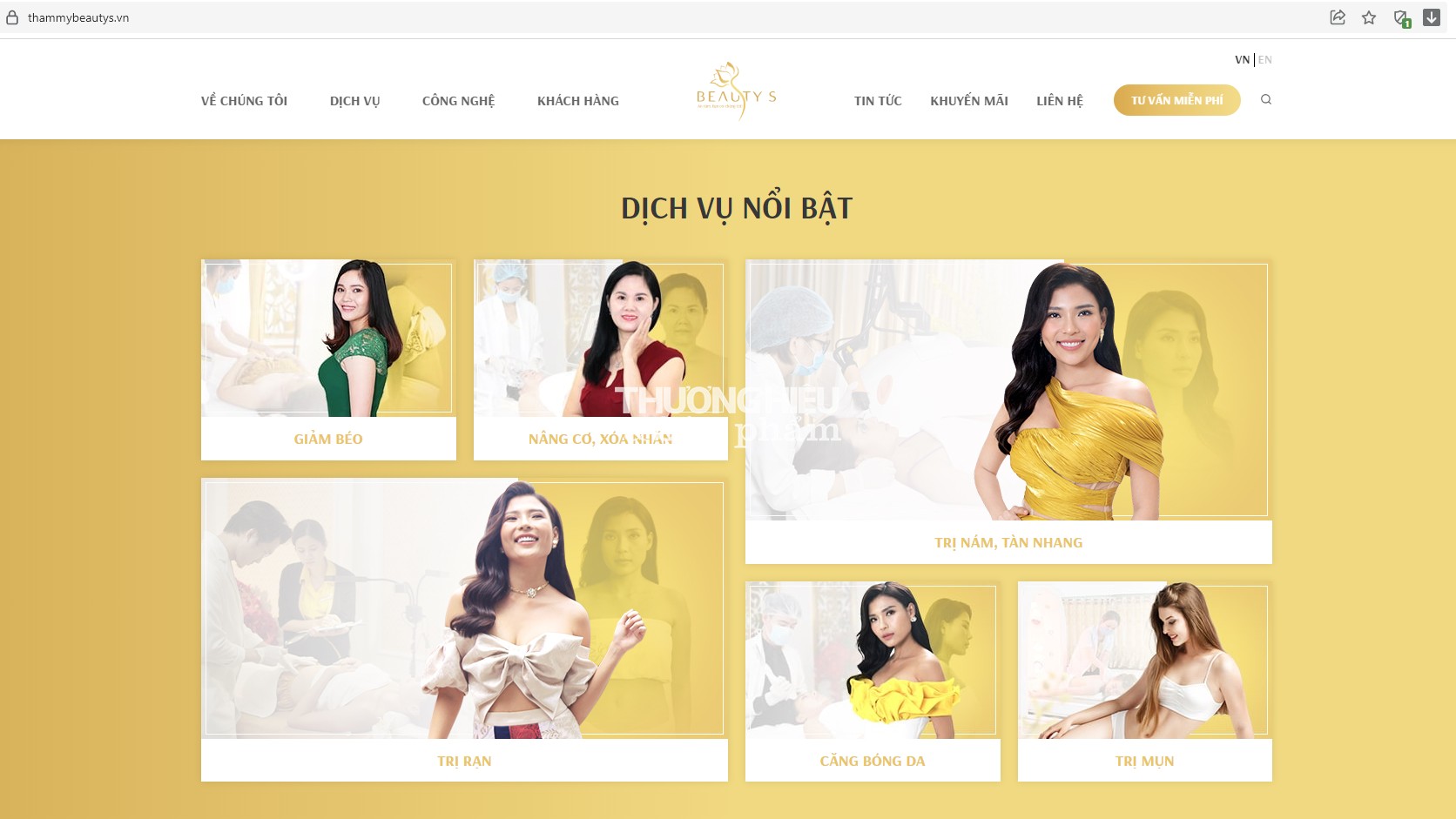 Cơ sở làm đẹp của Công ty Beauty S bị đình chỉ hoạt động 18 tháng