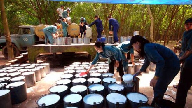 Xuất khẩu cao su của Việt Nam sang Ấn Độ đạt 56.830 tấn