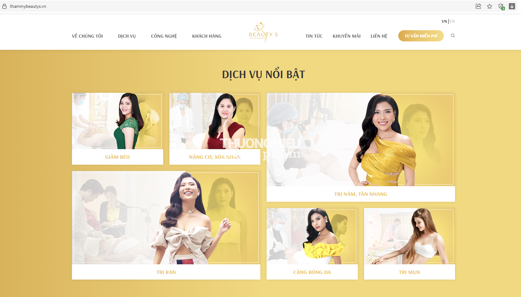 Cơ sở làm đẹp của Công ty BEAUTY S bị đình chỉ hoạt động