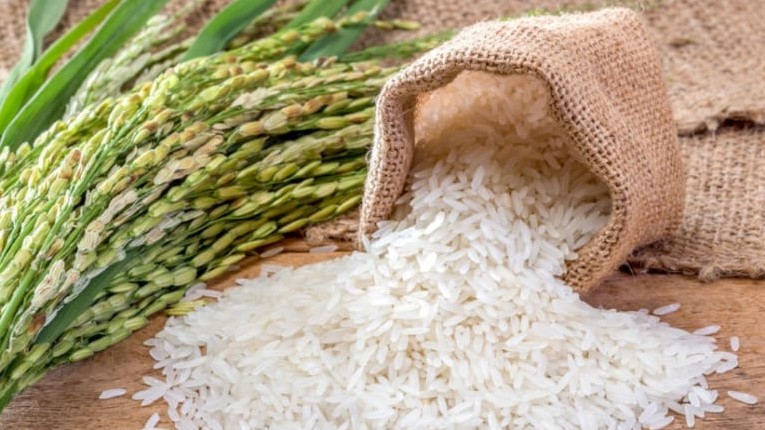 Giá lúa gạo hôm nay 29/7/2022: Giá lúa tiếp tục giảm 200 - 300 đồng/kg