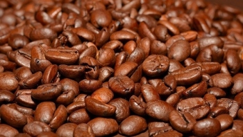 Giá cà phê hôm nay 30/7/2022: Liên tiếp tăng toàn thị trường