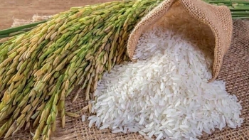 Philippines- thị trường nhập khẩu chính gạo của Việt Nam trong Châu Á