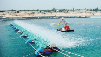 Bảo vệ môi trường trong hoạt động thủy sản