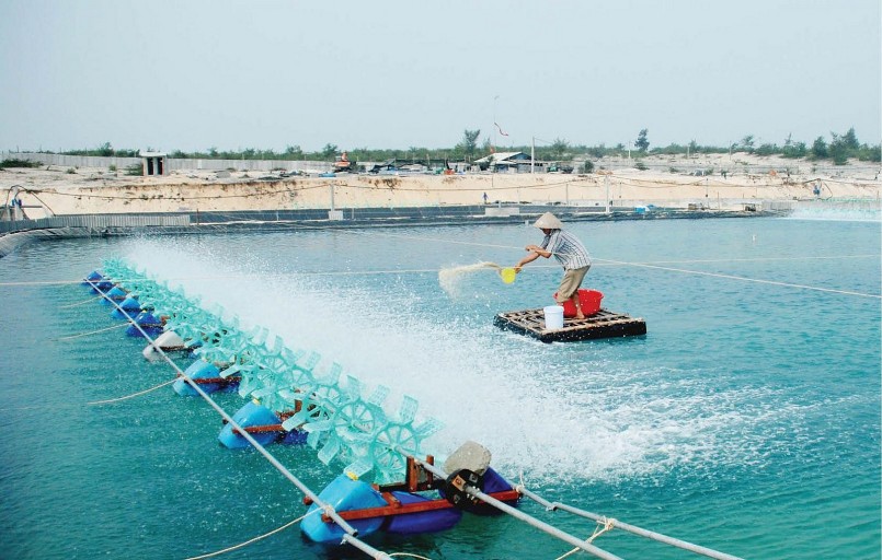 Tăng cường thực thi chính sách, pháp luật về bảo vệ môi trường trong các hoạt động thủy sản. Tăng cường thực thi chính sách, pháp luật về bảo vệ môi trường trong các hoạt động thủy sản.